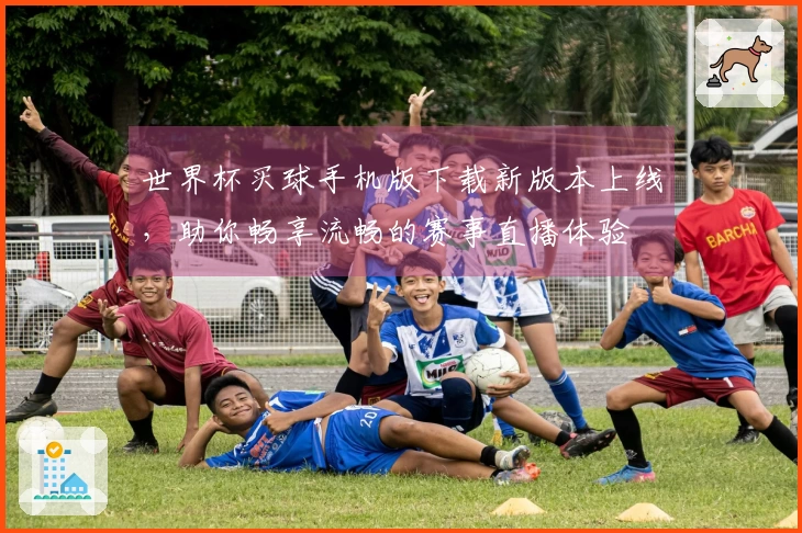 世界杯买球手机版下载新版本上线，助你畅享流畅的赛事直播体验