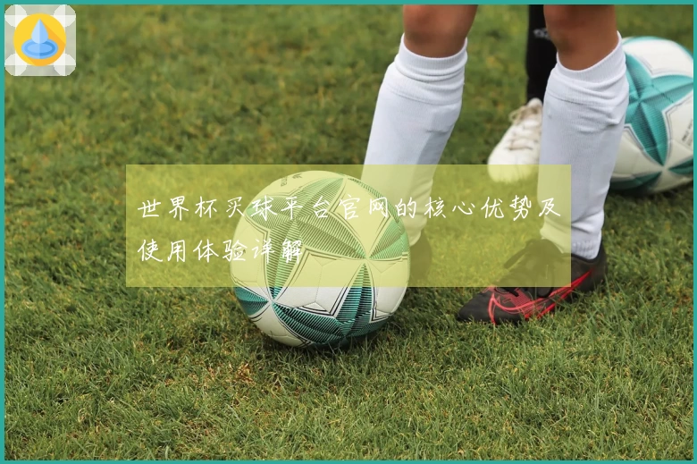 世界杯买球平台官网的核心优势及使用体验详解