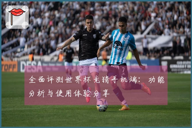 全面评测世界杯竞猜手机端：功能分析与使用体验分享