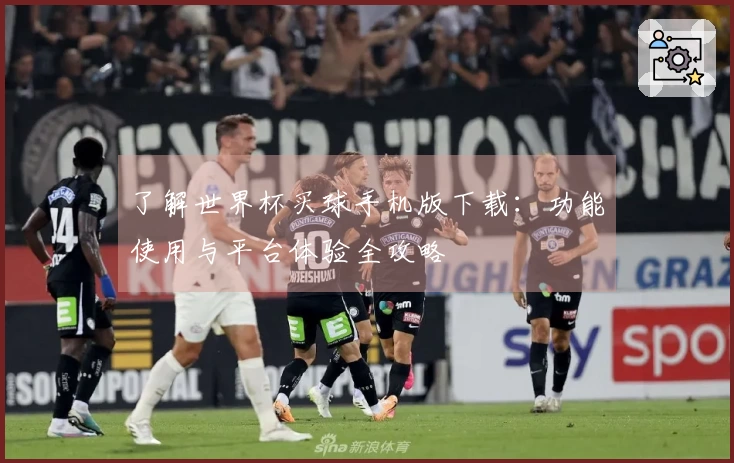 了解世界杯买球手机版下载：功能使用与平台体验全攻略