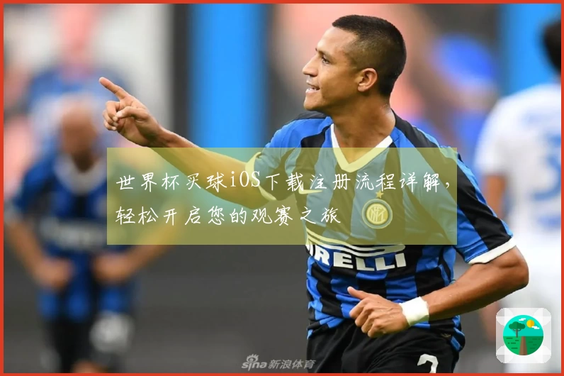 世界杯买球iOS下载注册流程详解，轻松开启您的观赛之旅