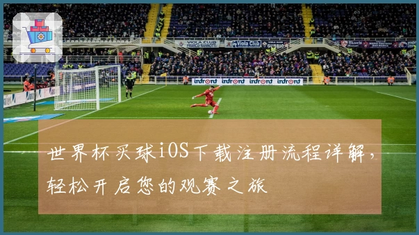 世界杯买球iOS下载注册流程详解，轻松开启您的观赛之旅