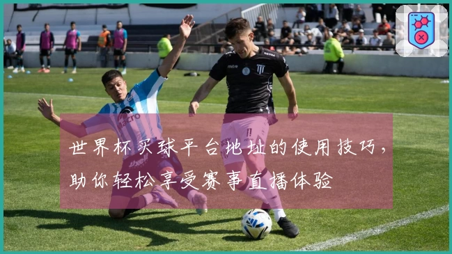 世界杯买球平台地址的使用技巧，助你轻松享受赛事直播体验