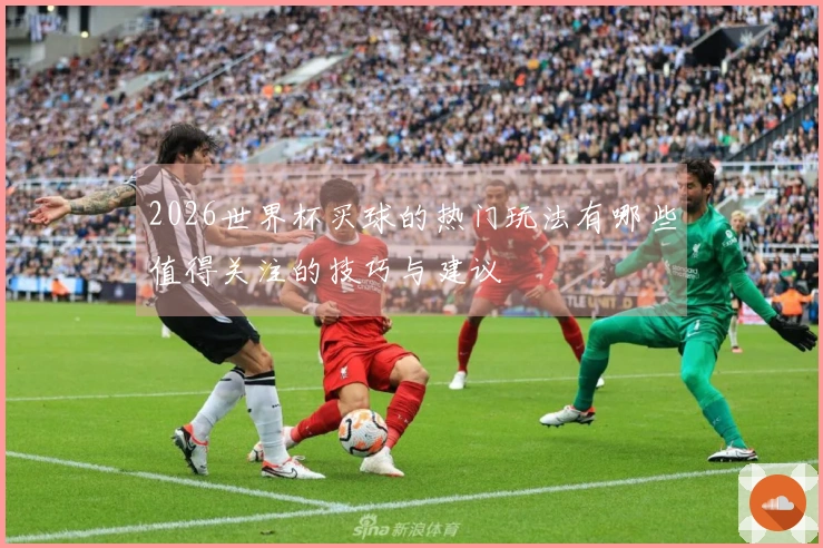2026世界杯买球的热门玩法有哪些值得关注的技巧与建议