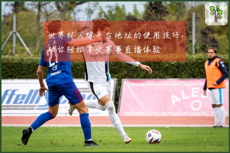 世界杯买球平台地址的使用技巧，助你轻松享受赛事直播体验