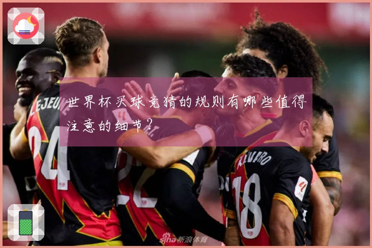 世界杯买球竞猜的规则有哪些值得注意的细节?