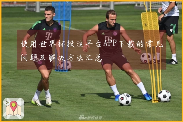 使用世界杯投注平台APP下载的常见问题及解决方法汇总