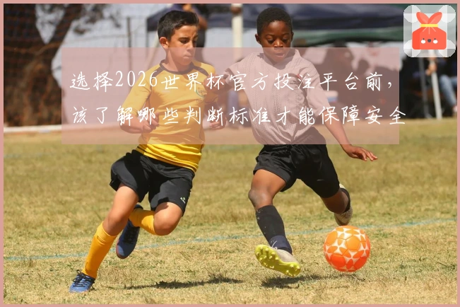选择2026世界杯官方投注平台前，该了解哪些判断标准才能保障安全？
