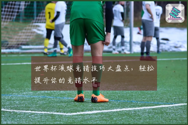 世界杯滚球竞猜技巧大盘点，轻松提升你的竞猜水平