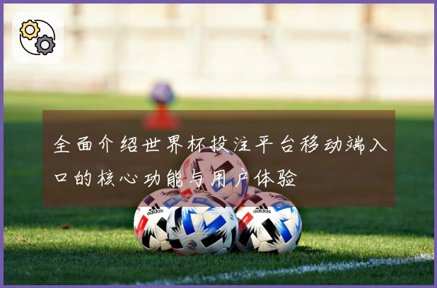 全面介绍世界杯投注平台移动端入口的核心功能与用户体验