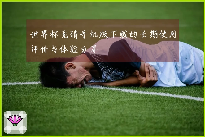 世界杯竞猜手机版下载的长期使用评价与体验分享